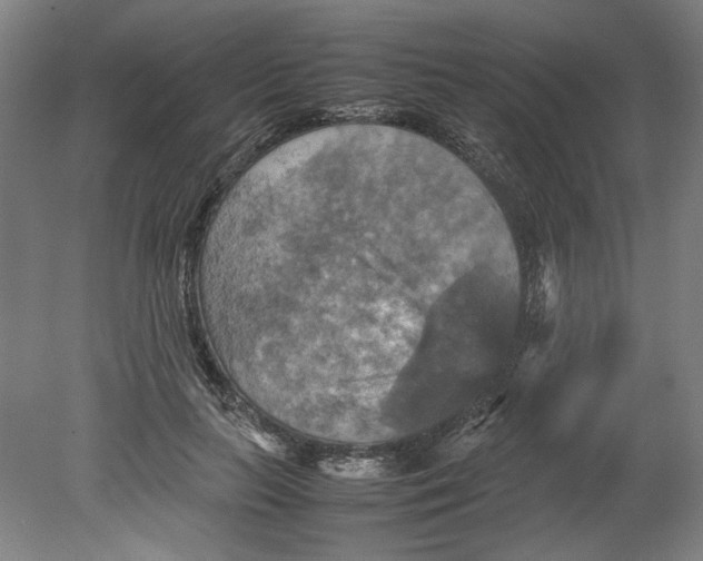 X0000080660647200701050944