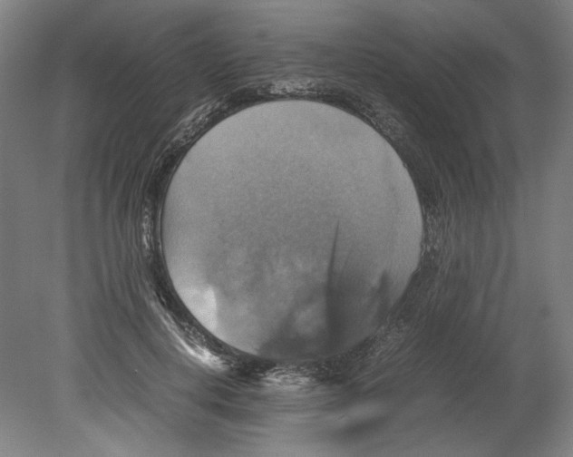 X0000080660648200701050944