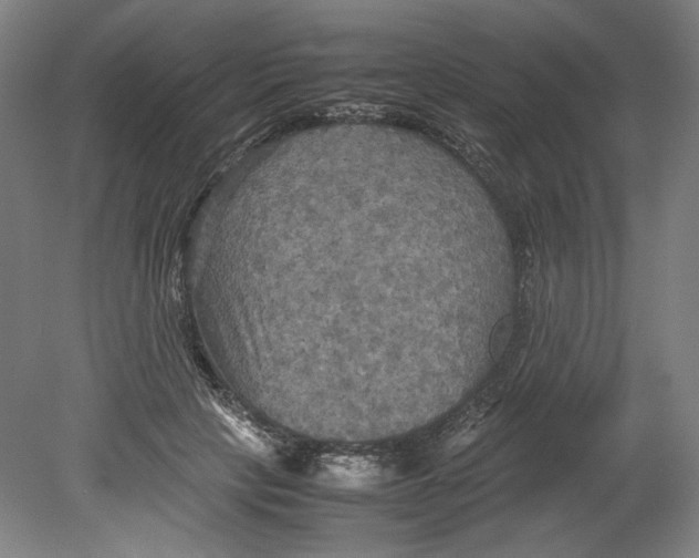 X0000080660649200701050944