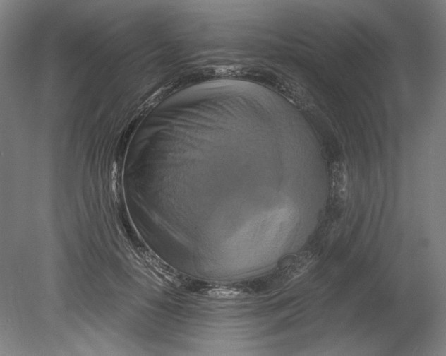 X0000080660650200701050944