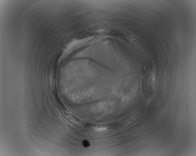 X0000080660651200701050944