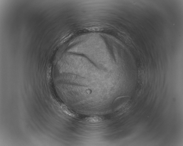 X0000080660652200701050944