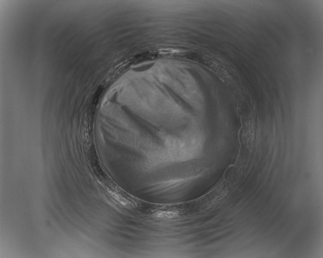 X0000080660653200701050944