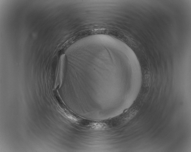 X0000080660654200701050944