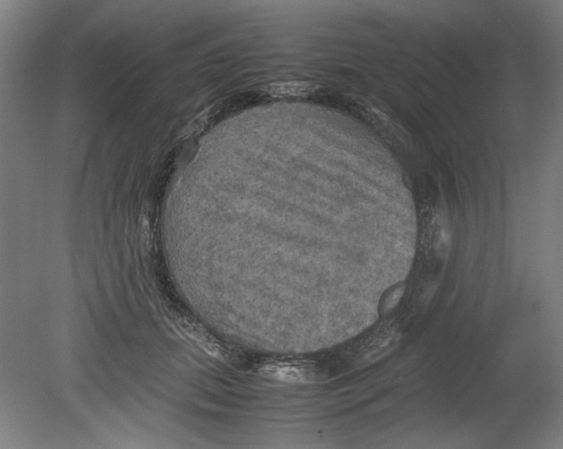 X0000080660655200701050944