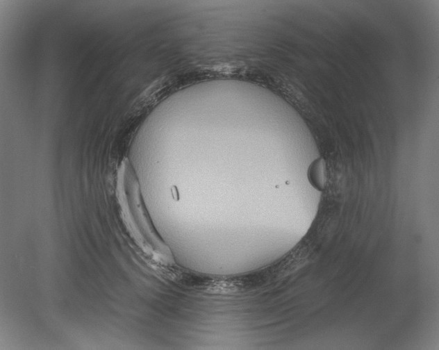 X0000080660656200701050944