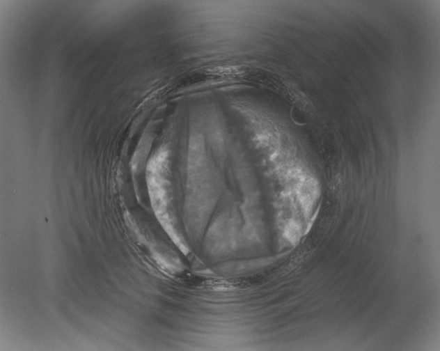 X0000080660658200701050944