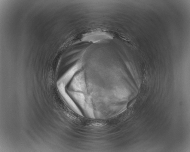 X0000080660659200701050944