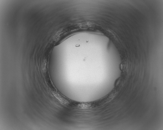 X0000080660660200701050944