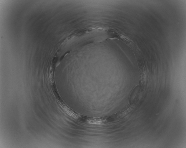 X0000080660661200701050944