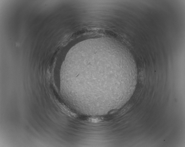 X0000080660662200701050944