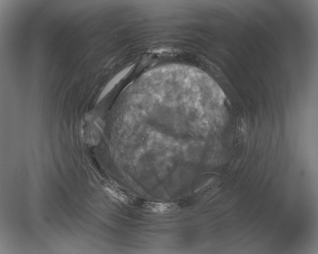 X0000080660663200701050944