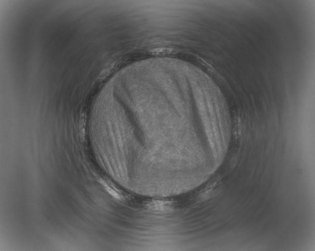 X0000080660664200701050944