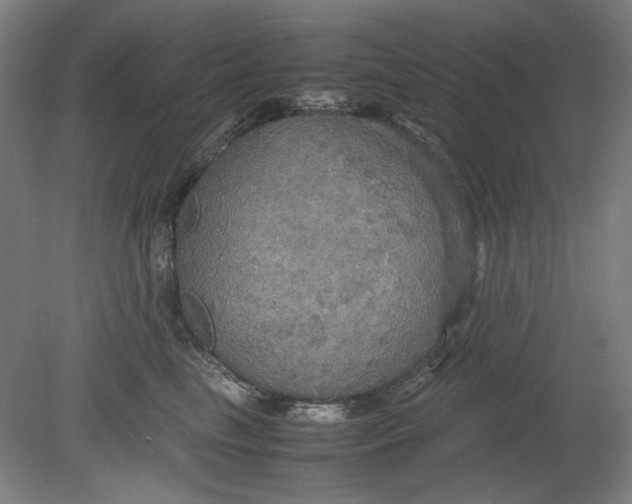 X0000080660665200701050944