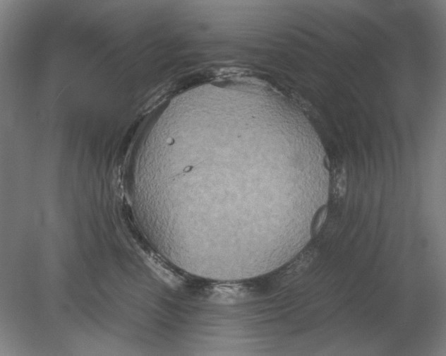 X0000080660666200701050944