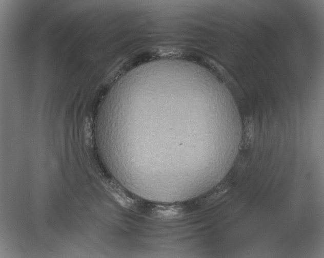 X0000080660667200701050944