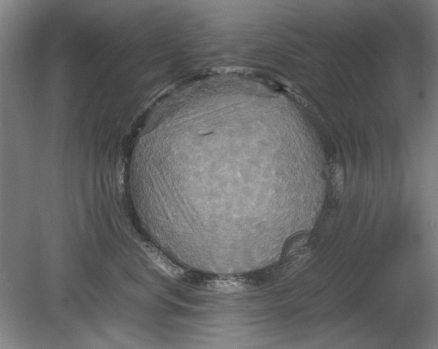 X0000080660668200701050944