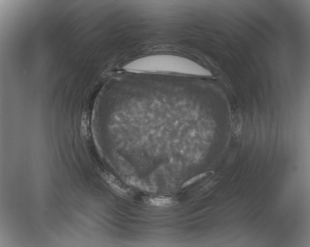 X0000080660669200701050944