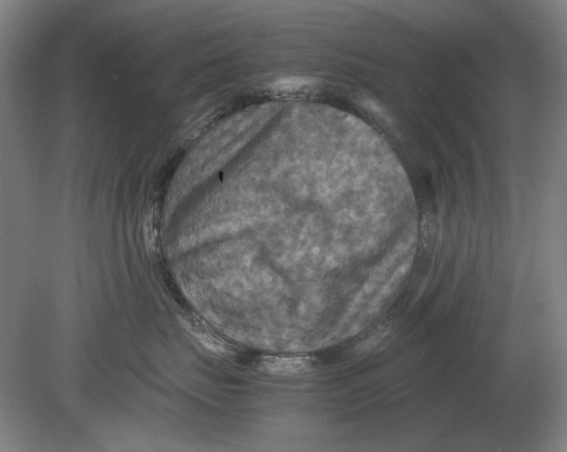 X0000080660671200701050944