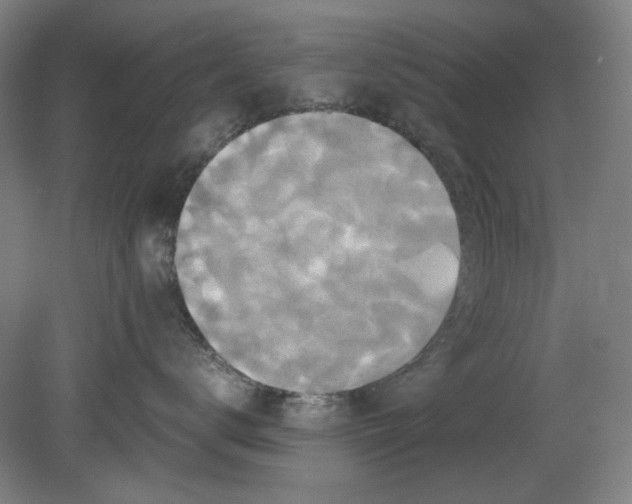 X0000080660672200701050944