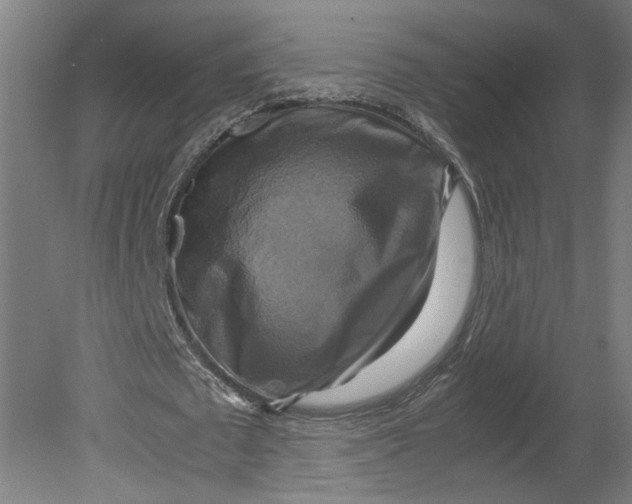 X0000080660673200701050943