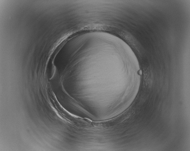 X0000080660674200701050943