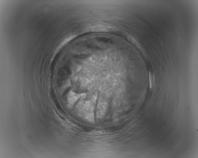 X0000080660675200701050943