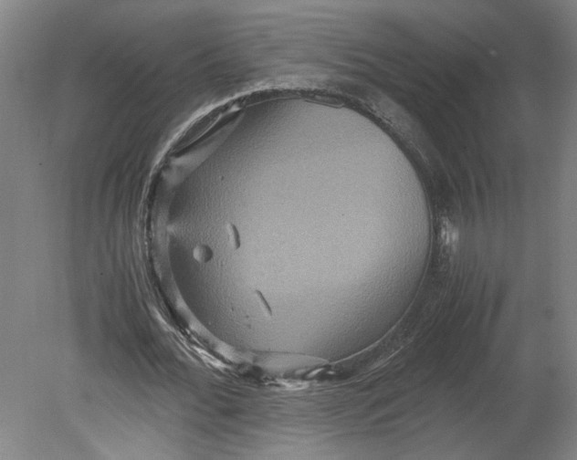 X0000080660676200701050943