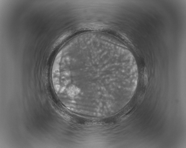 X0000080660679200701050943