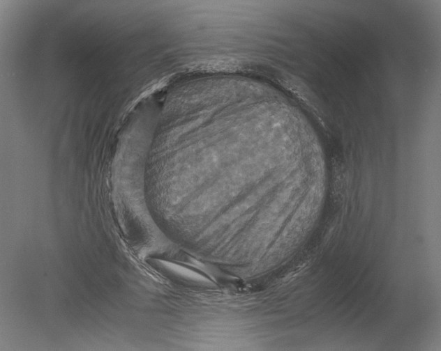 X0000080660681200701050943