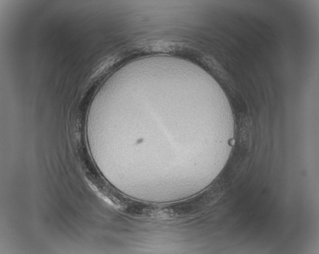 X0000080660683200701050943