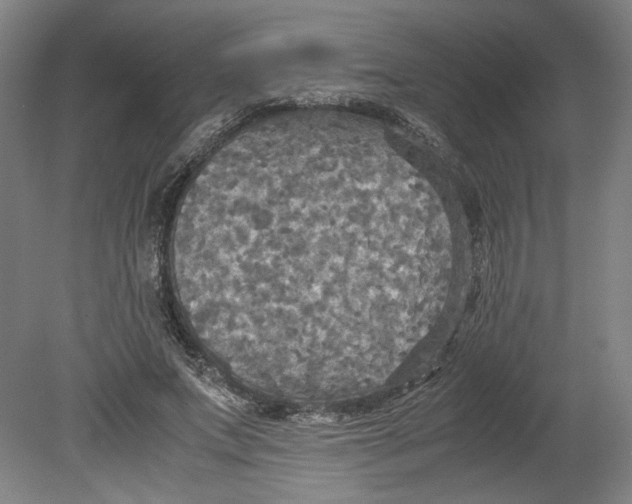 X0000080660687200701050943