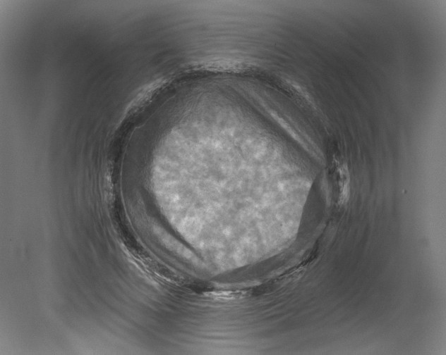 X0000080660688200701050943