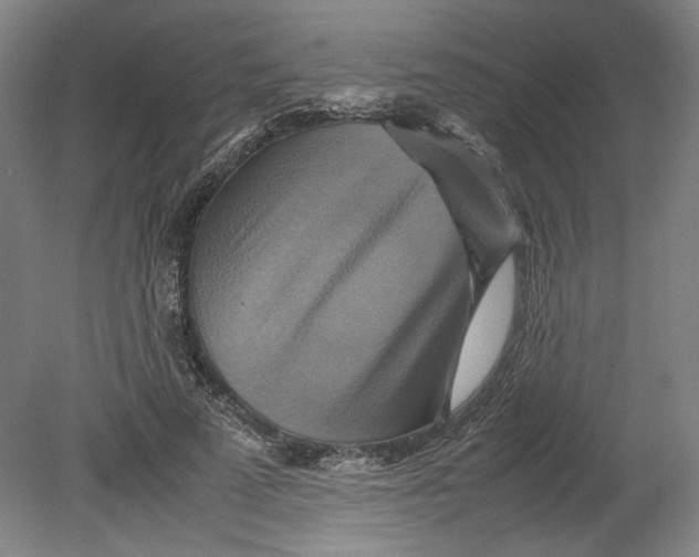 X0000080660689200701050943