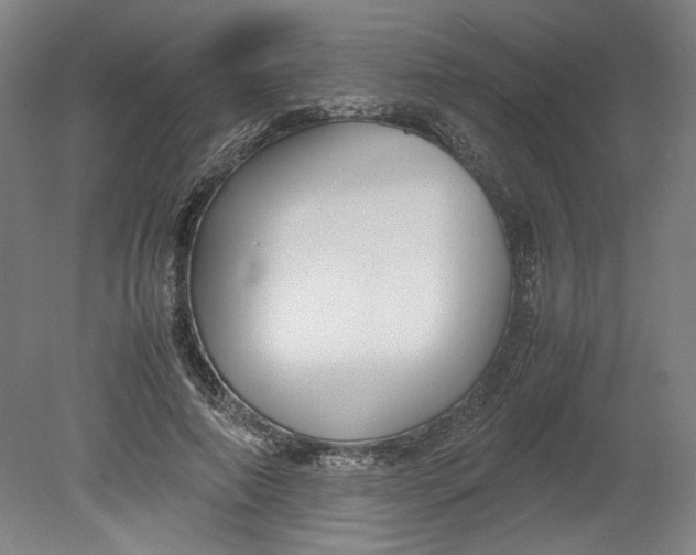 X0000080660690200701050943