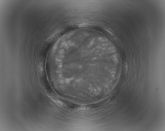 X0000080660691200701050943