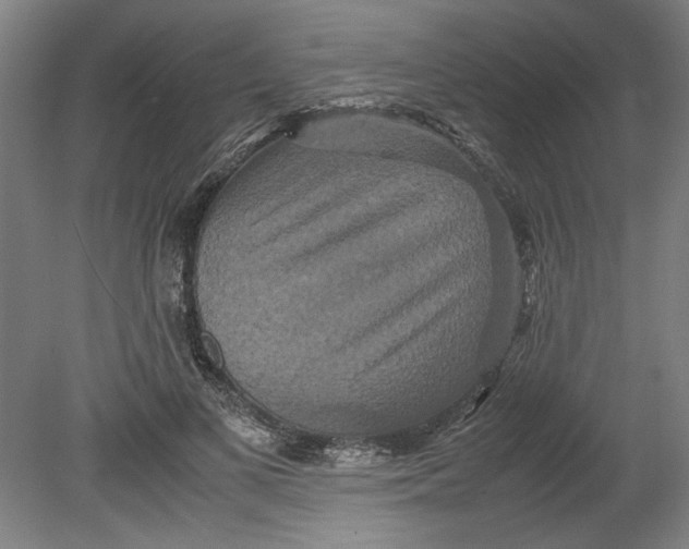 X0000080660693200701050943