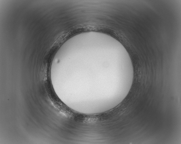 X0000080660694200701050943