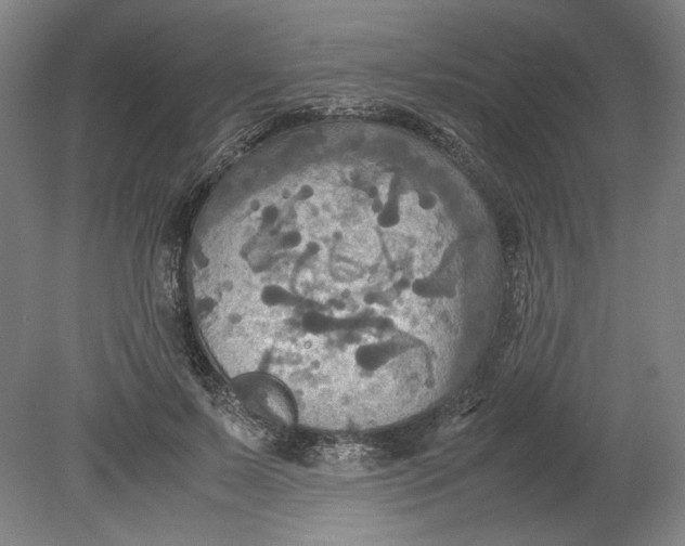 X0000080660695200701050943