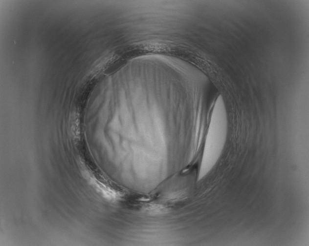 X0000080660696200701050943