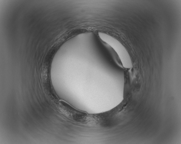 X0000080660697200701050943