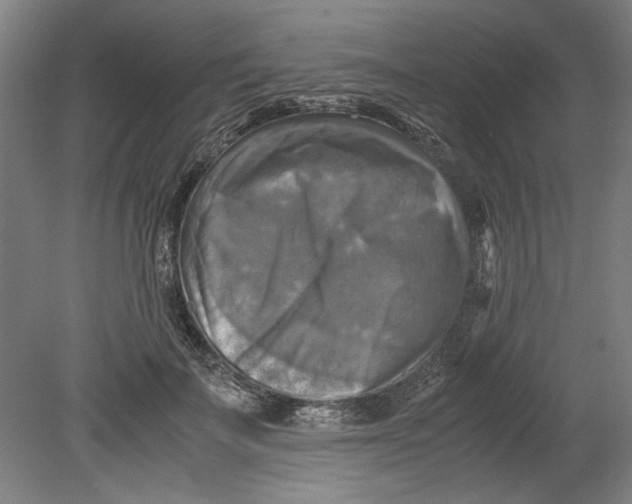 X0000080660699200701050943