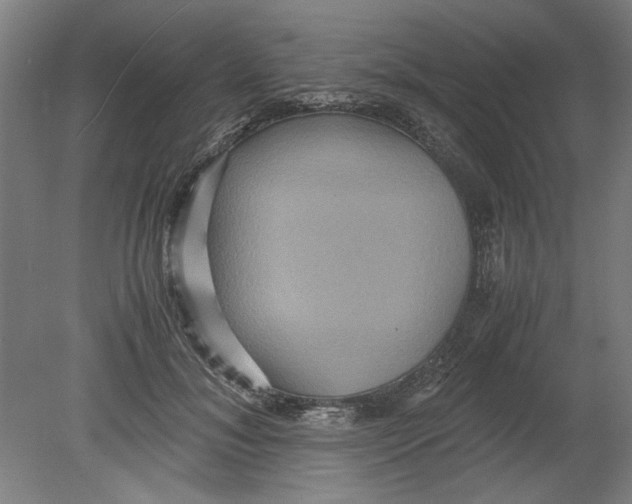 X0000080660700200701050943