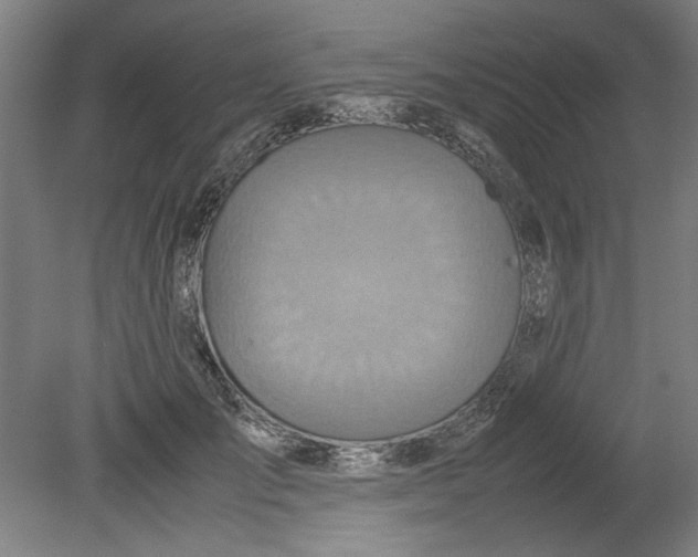 X0000080660701200701050943