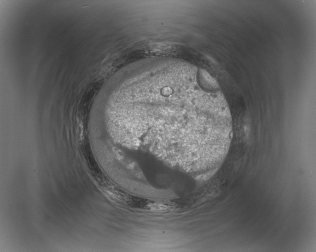 X0000080660703200701050943