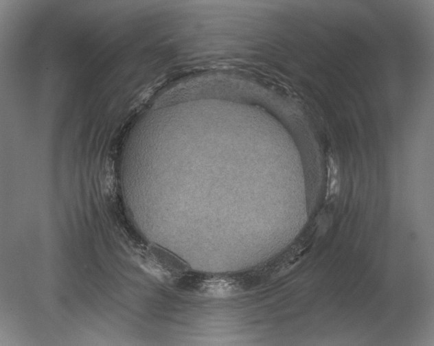 X0000080660704200701050943