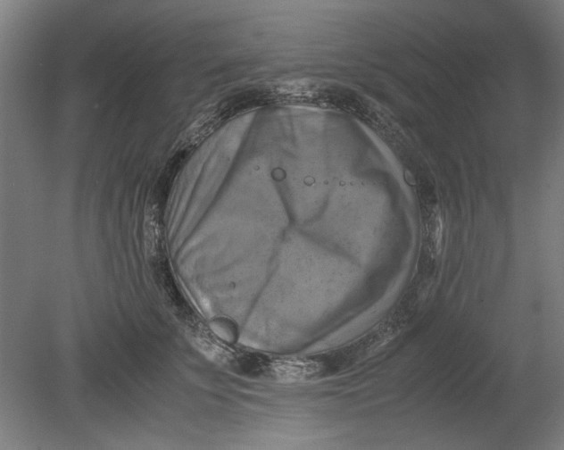 X0000080660707200701050943