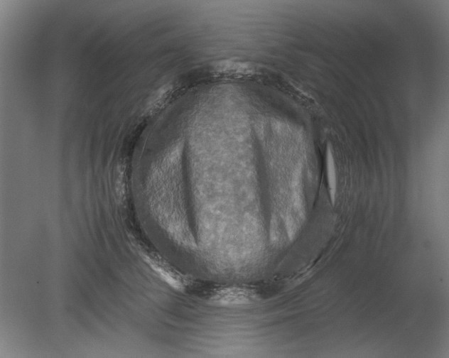 X0000080660708200701050943