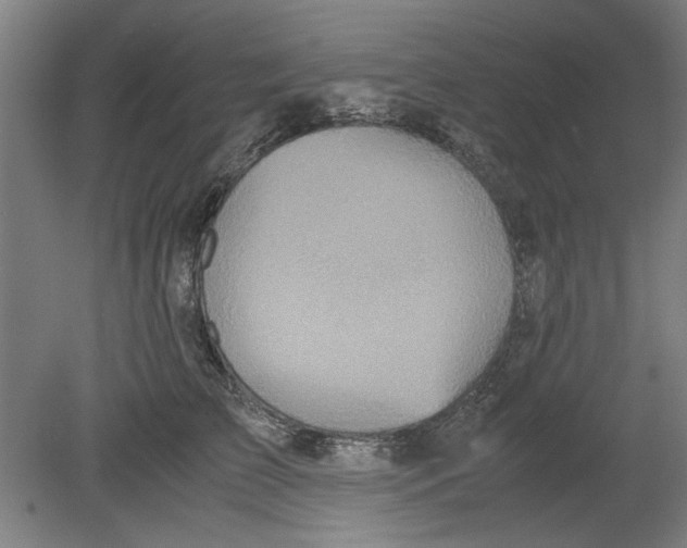 X0000080660709200701050943