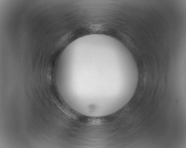 X0000080660710200701050943